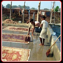 Washing of Handtufted Rugs